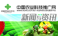 強(qiáng)化企業(yè)科技創(chuàng)新主體地位 推動(dòng)科技成果產(chǎn)業(yè)化